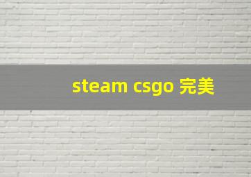 steam csgo 完美